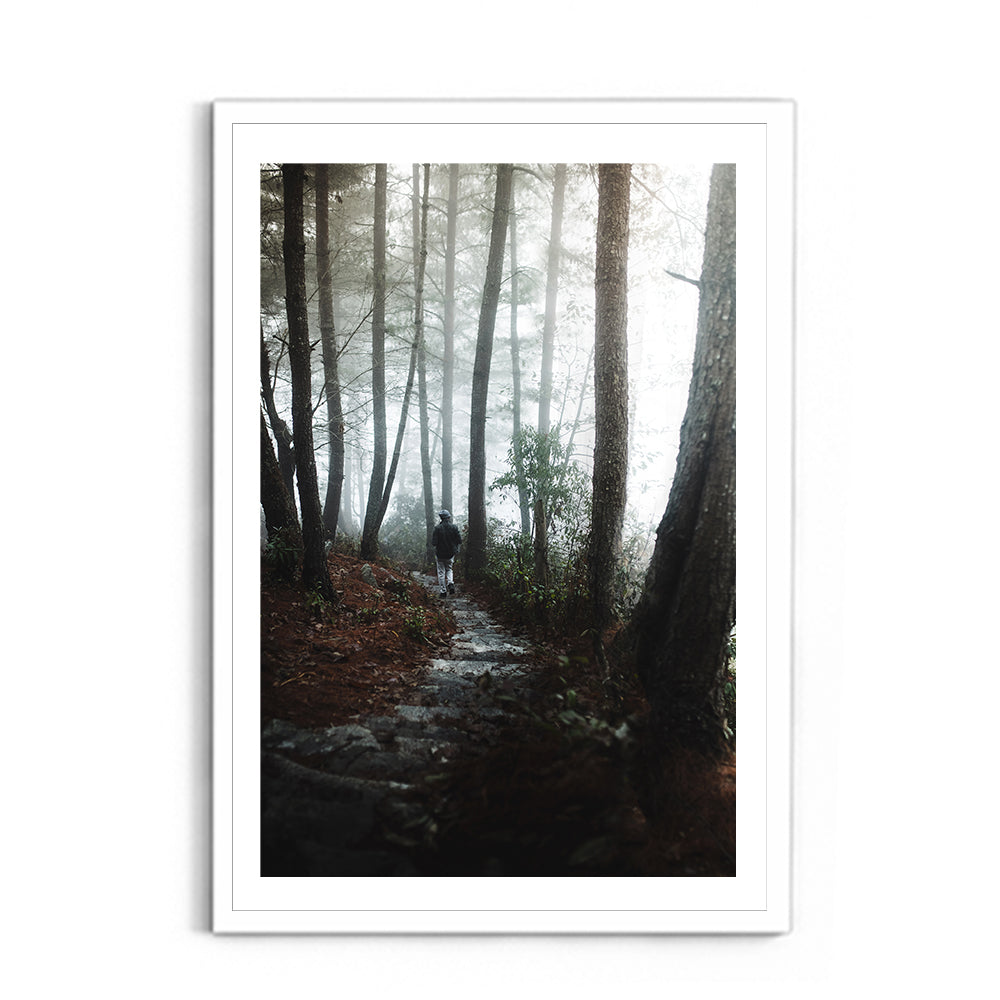 Foggy Path Through the Woods, Arunachal Pradesh - Wall Photo Frame by Jeet Khagram