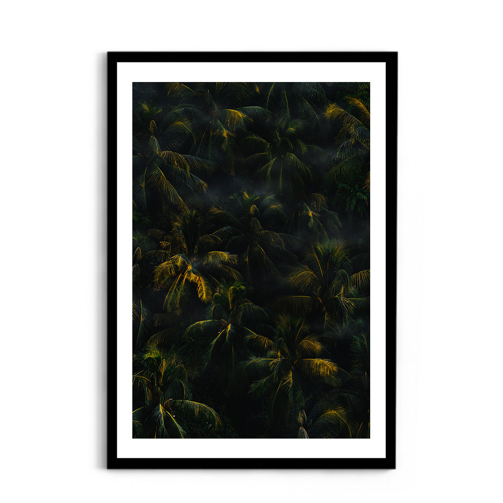 Tropical Palm Canopy at Golden Hour - Wall Photo Frame by Jeet Khagram
