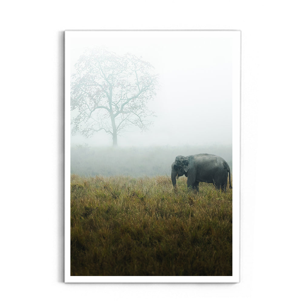 "The Misty Meadow"� Wild Elephant, Assam - Wall Photo Frame by Jeet Khagram