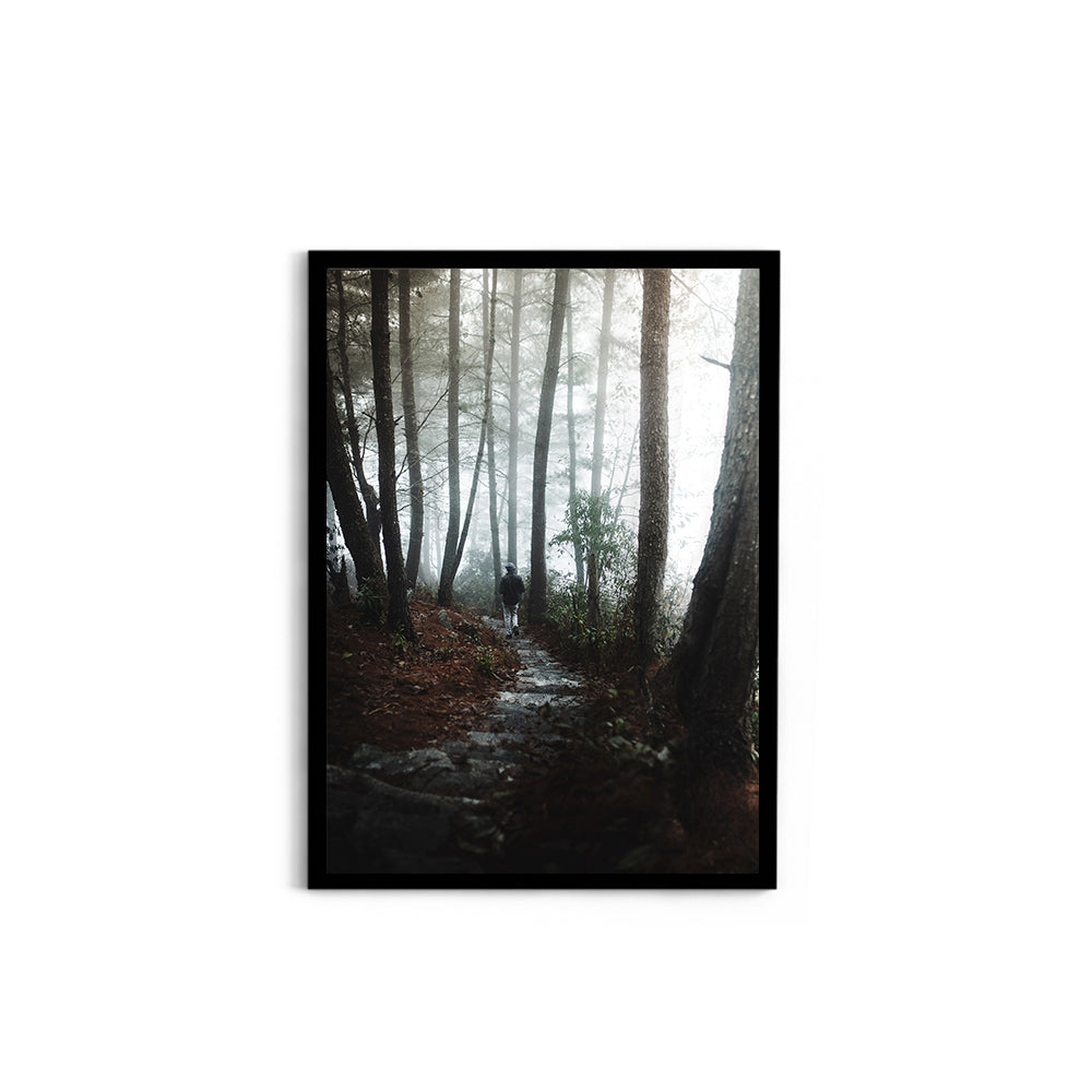 Foggy path through the woods- Arunachal Pradesh