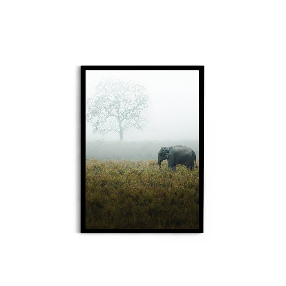 "The Misty Meadow"� Wild Elephant, Assam - Wall Photo Frame by Jeet Khagram