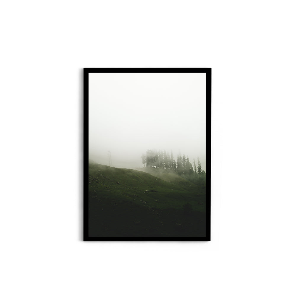 A moody mist forest - Hampta Pass