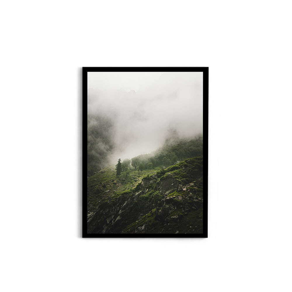 Morning mist over the woods - Hampta Pass