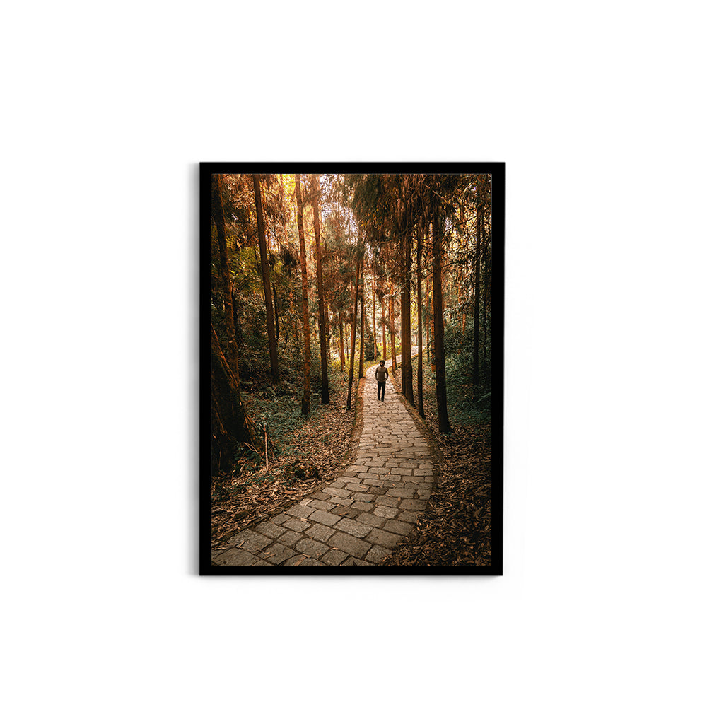 The Forest Path Nature Photography - Wall Photo Frame by Jeet Khagram