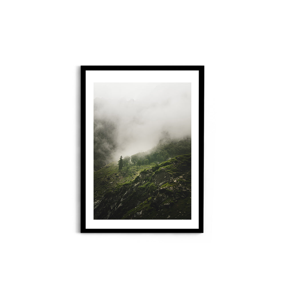 Morning mist over the woods - Hampta Pass