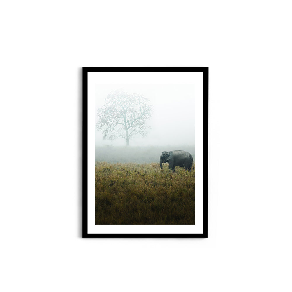 "The Misty Meadow"� Wild Elephant, Assam - Wall Photo Frame by Jeet Khagram