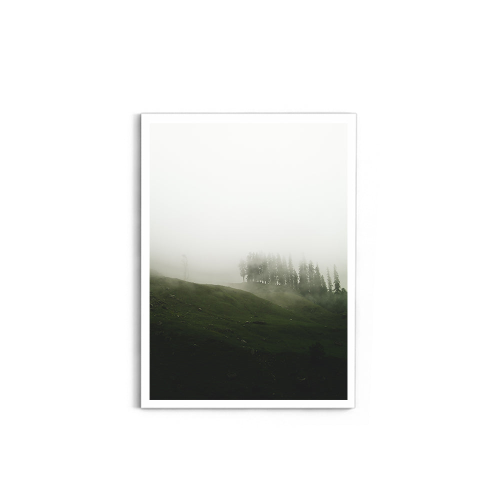 A moody mist forest - Hampta Pass