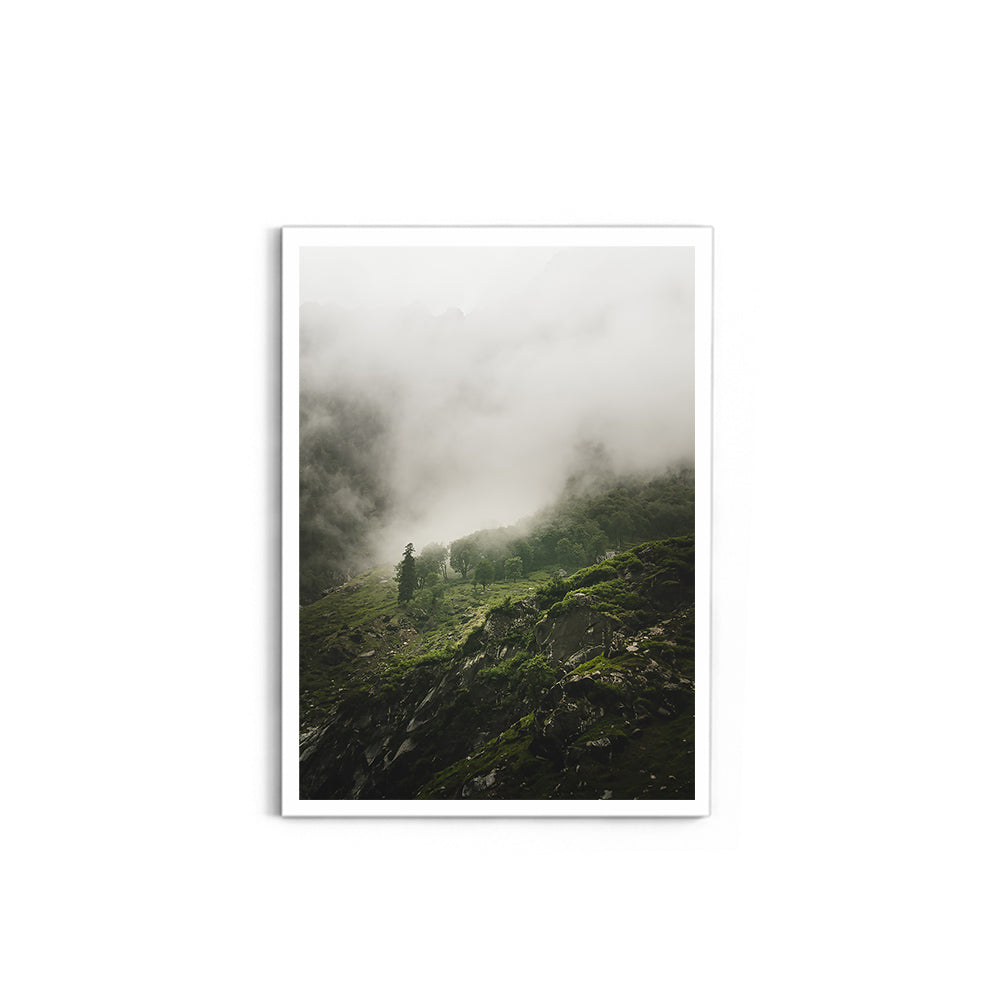 Morning mist over the woods - Hampta Pass