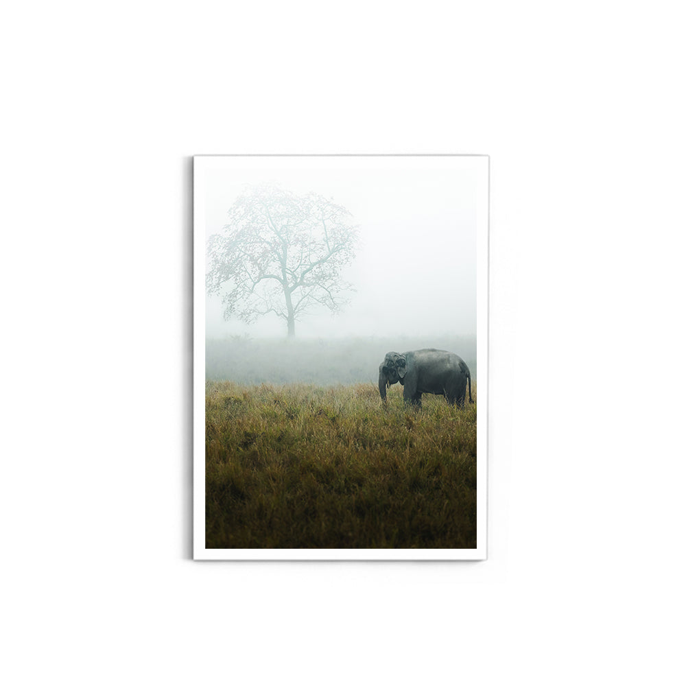 "The Misty Meadow"� Wild Elephant, Assam - Wall Photo Frame by Jeet Khagram