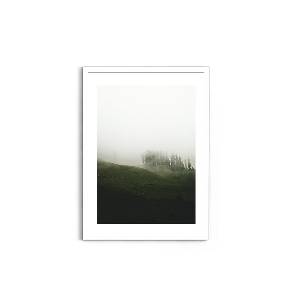 A moody mist forest - Hampta Pass