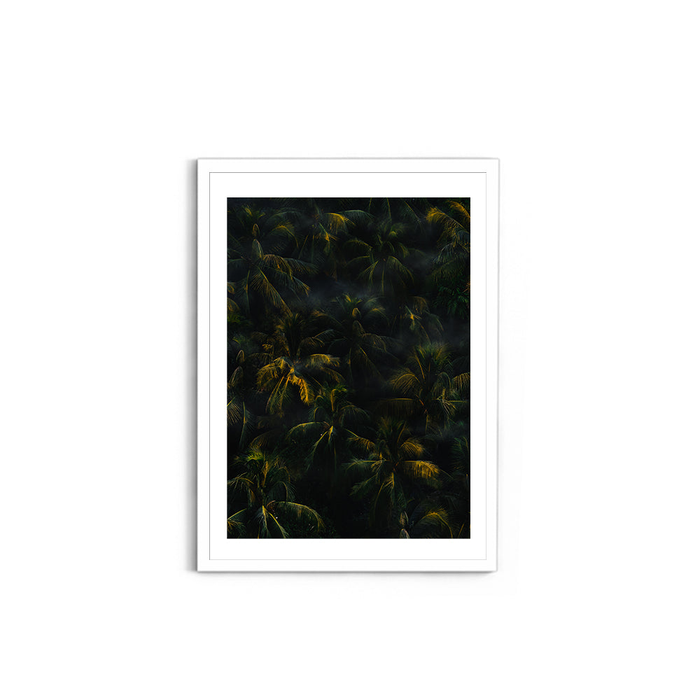 Texture of palm trees