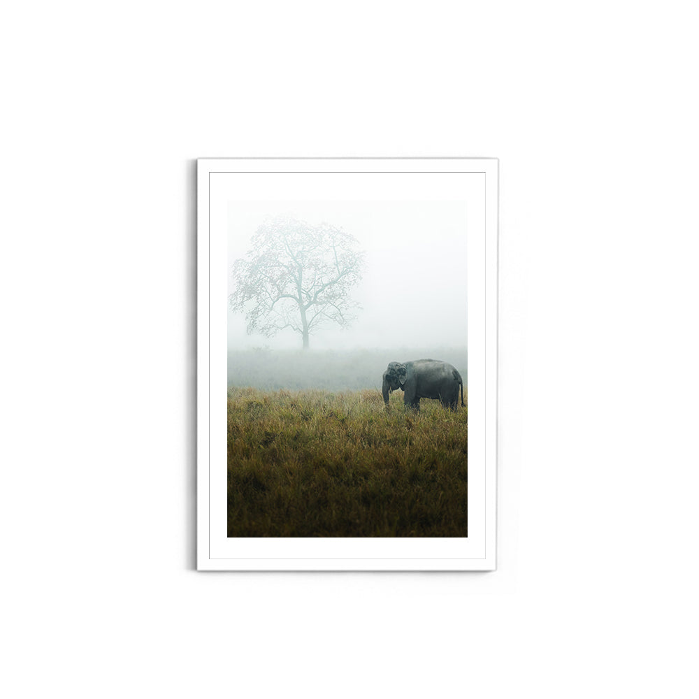 "The Misty Meadow"� Wild Elephant, Assam - Wall Photo Frame by Jeet Khagram
