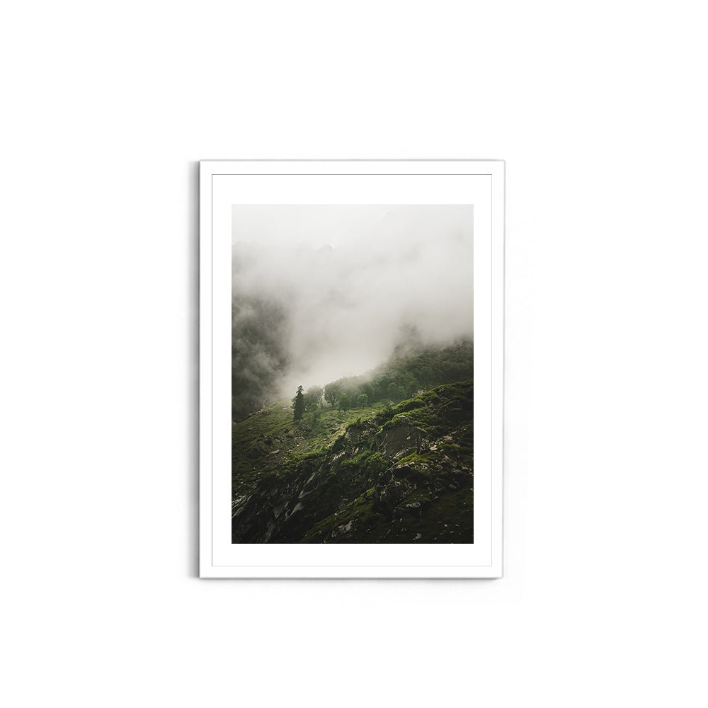 Morning mist over the woods - Hampta Pass