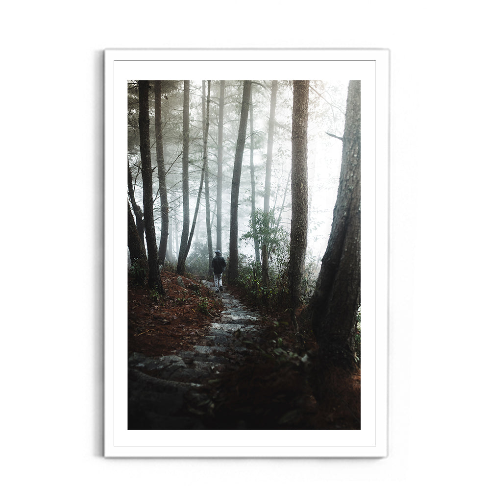 Foggy path through the woods- Arunachal Pradesh