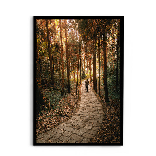 Tranquility free from disturbance - Sikkim