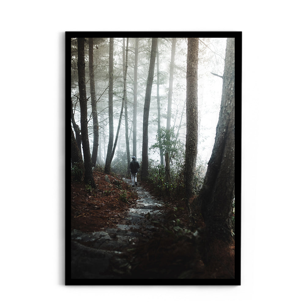 Foggy path through the woods- Arunachal Pradesh