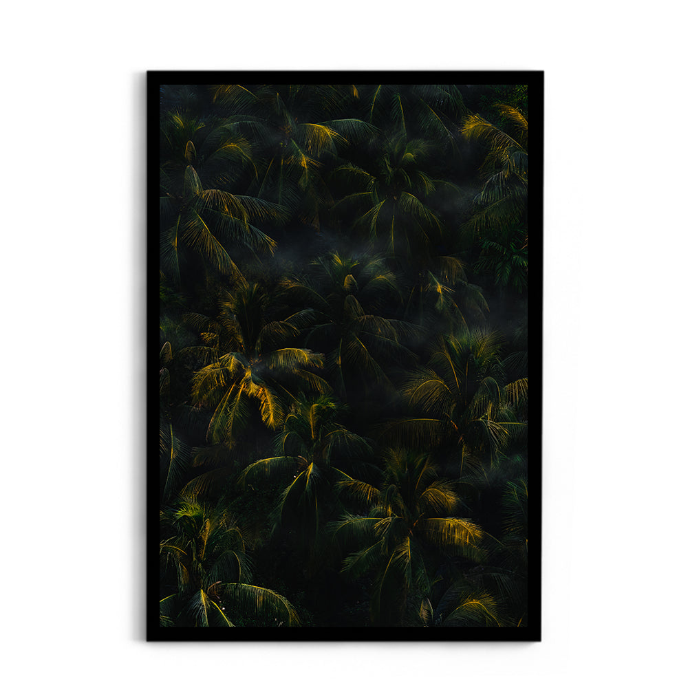 Texture of palm trees