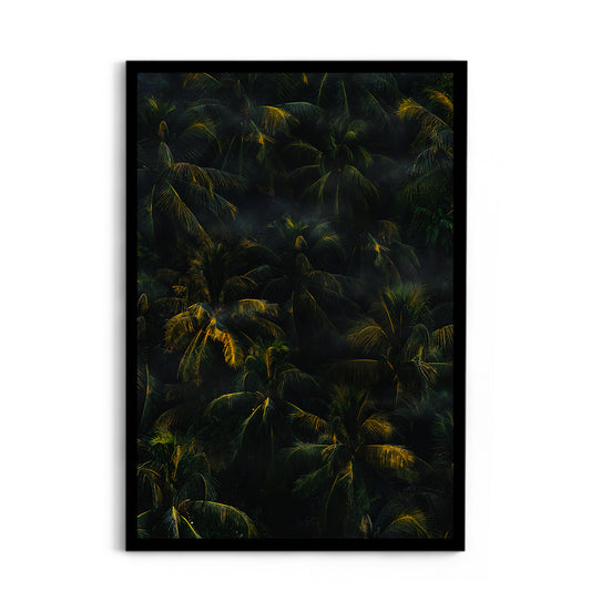 Texture of palm trees