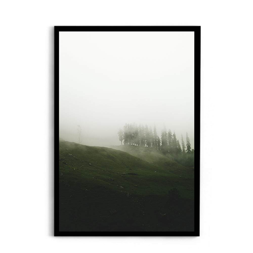 A moody mist forest - Hampta Pass