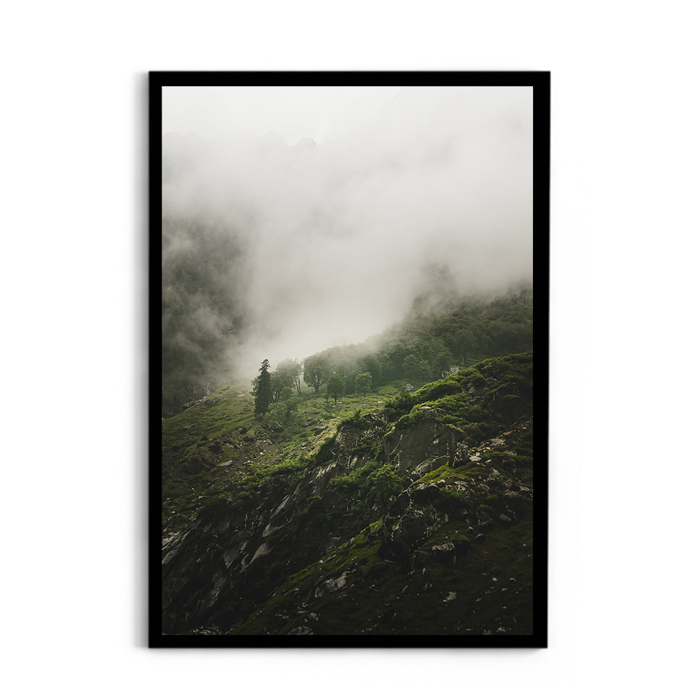 Morning mist over the woods - Hampta Pass