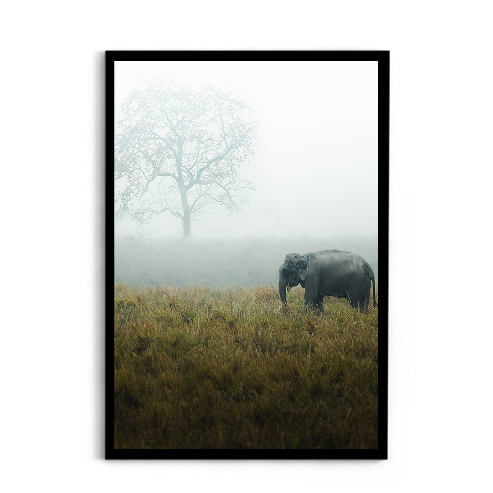 "The Misty Meadow"� Wild Elephant, Assam - Wall Photo Frame by Jeet Khagram