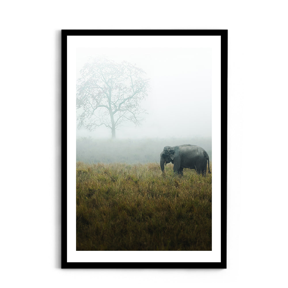 "The Misty Meadow"� Wild Elephant, Assam - Wall Photo Frame by Jeet Khagram