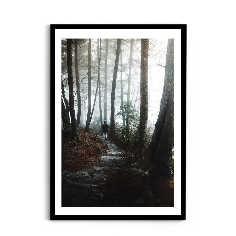 Foggy path through the woods- Arunachal Pradesh