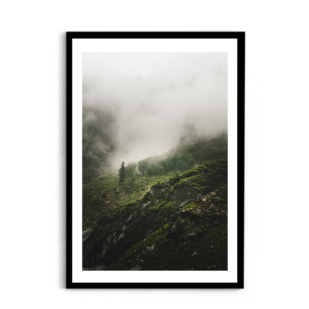 Morning mist over the woods - Hampta Pass
