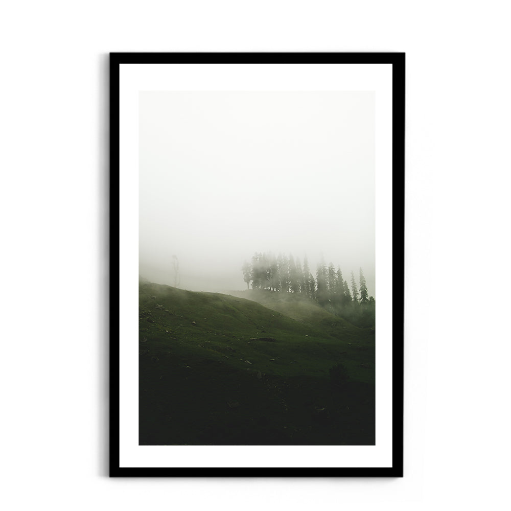 A moody mist forest - Hampta Pass