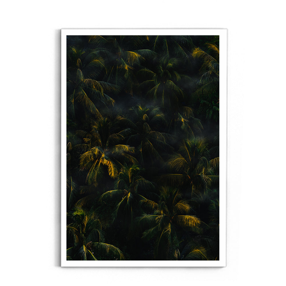 Texture of palm trees