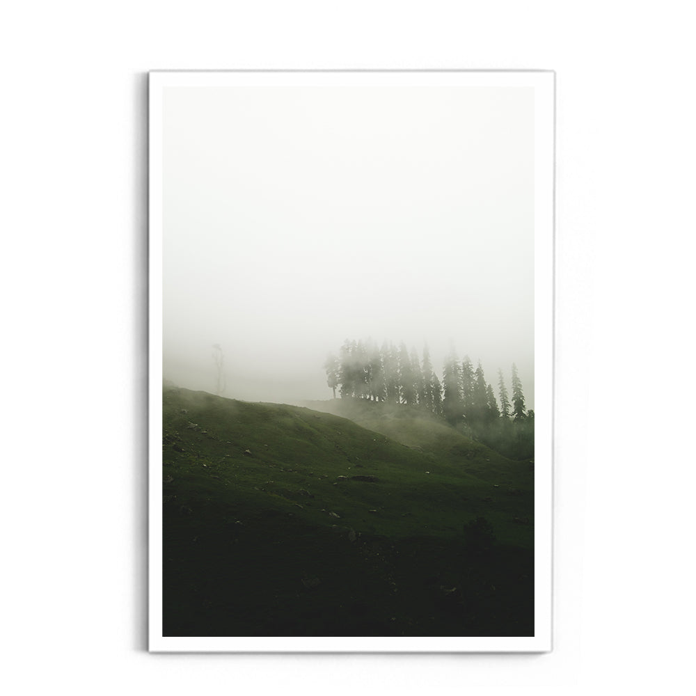 A moody mist forest - Hampta Pass