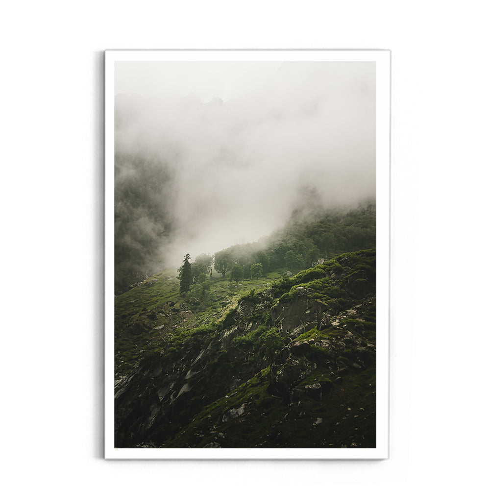 Morning mist over the woods - Hampta Pass