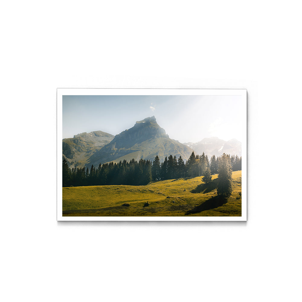 Summer at Kleine Scheidegg, Switzerland - Wall Photo Frame by Jeet Khagram