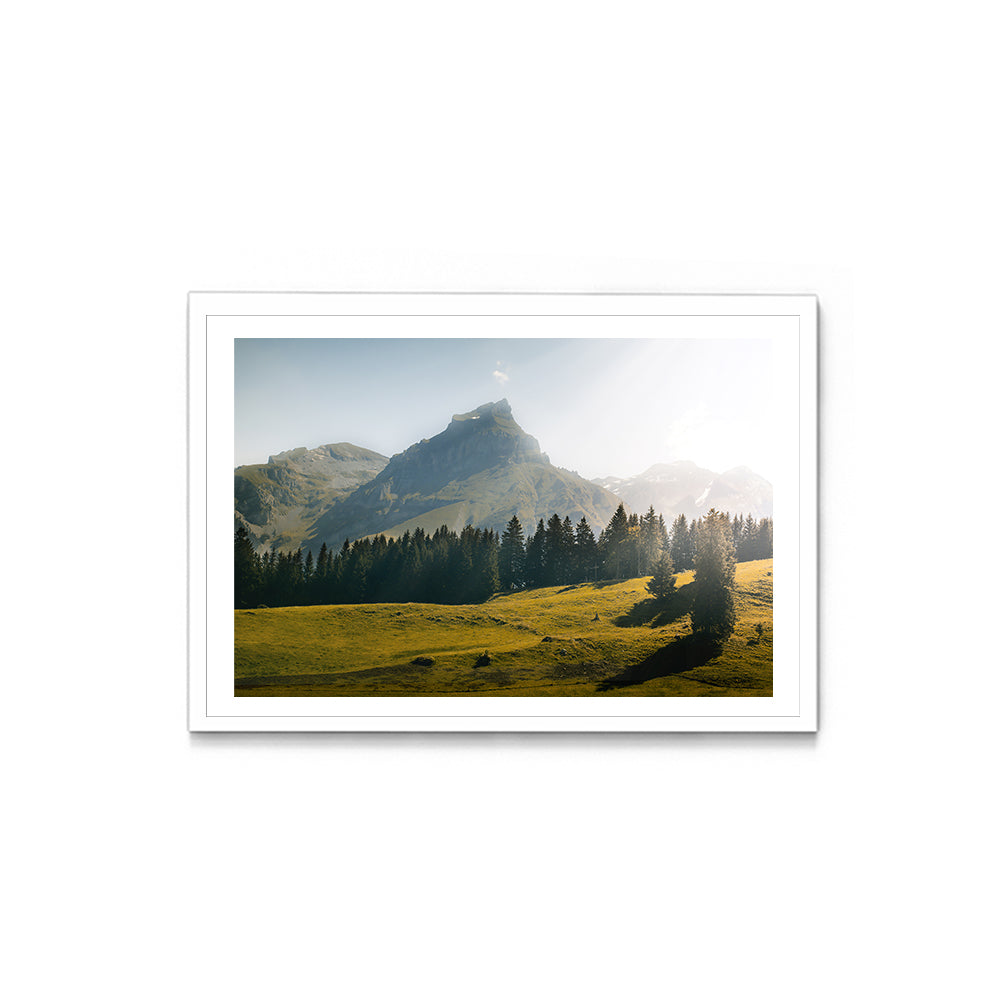 Summer at Kleine Scheidegg, Switzerland - Wall Photo Frame by Jeet Khagram