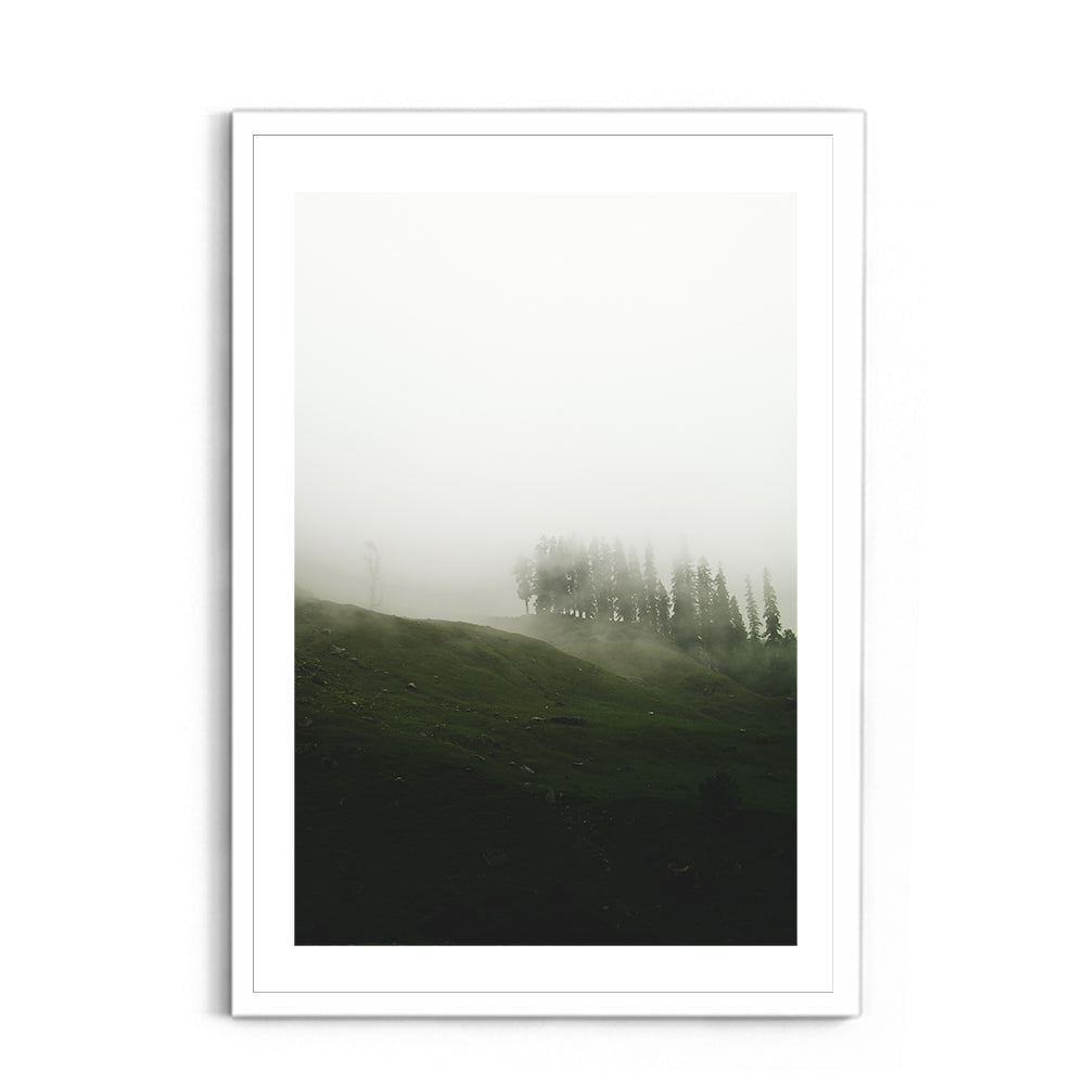A moody mist forest - Hampta Pass