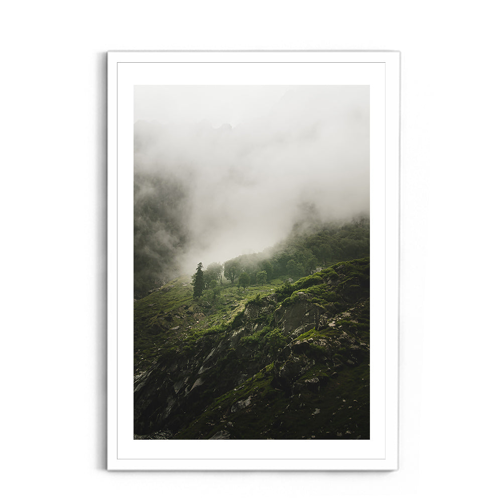 Morning mist over the woods - Hampta Pass