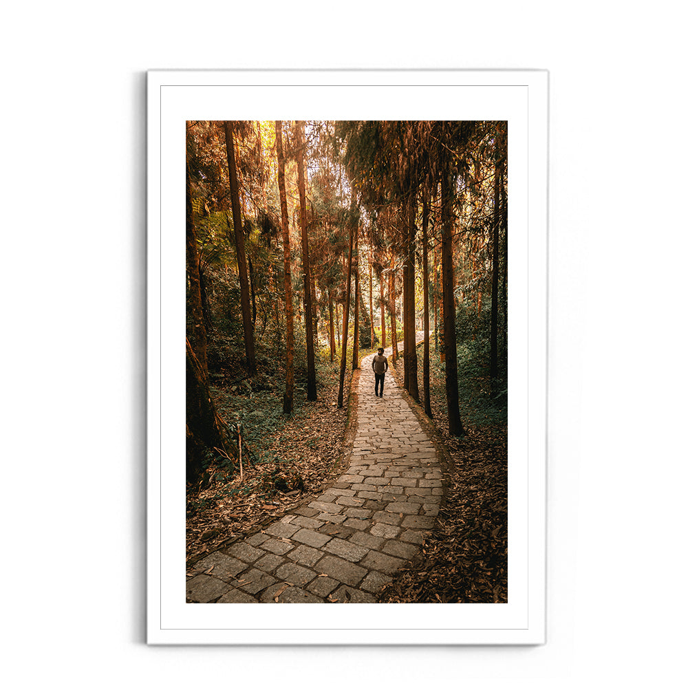 The Forest Path Nature Photography - Wall Photo Frame by Jeet Khagram