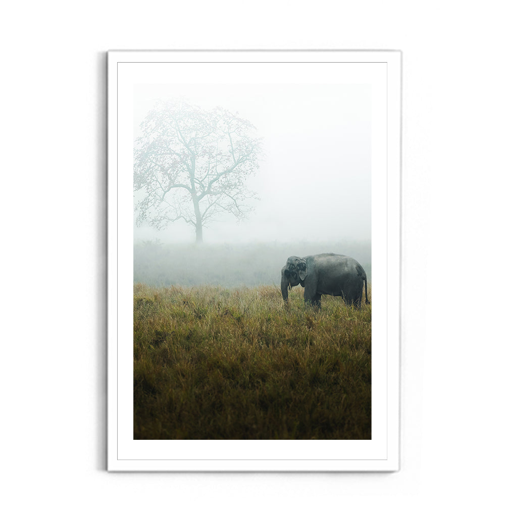 "The Misty Meadow"� Wild Elephant, Assam - Wall Photo Frame by Jeet Khagram