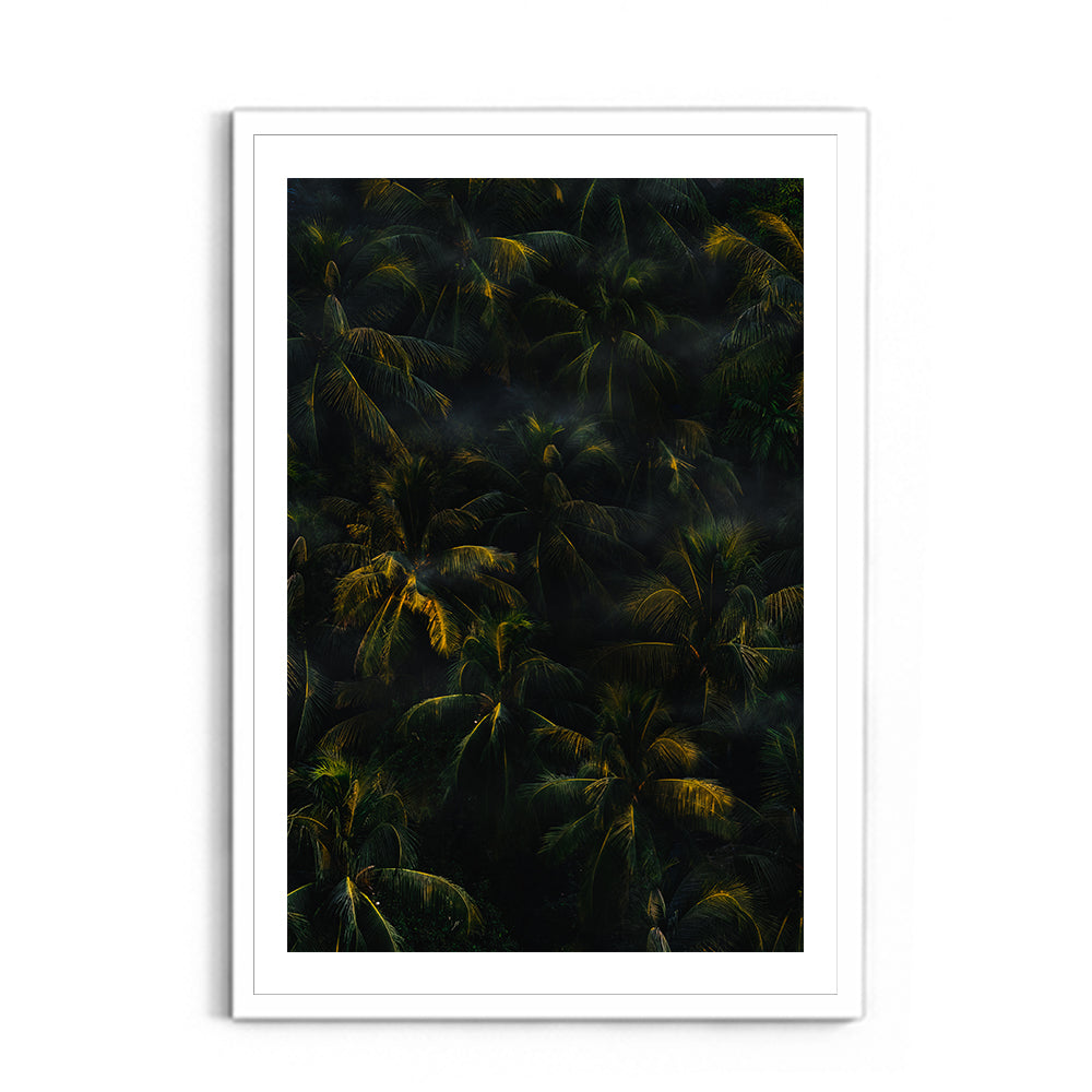 Texture of palm trees