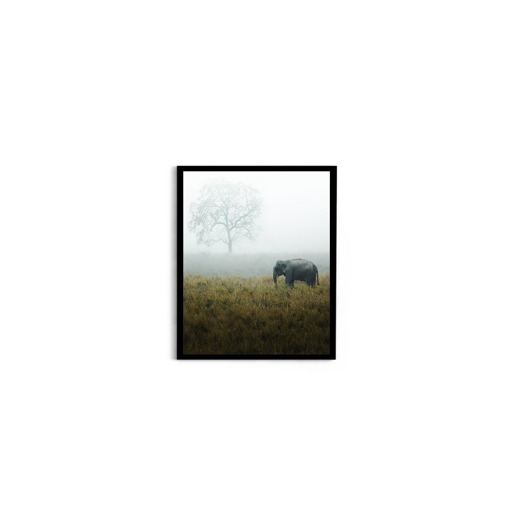 "The Misty Meadow"� Wild Elephant, Assam - Wall Photo Frame by Jeet Khagram