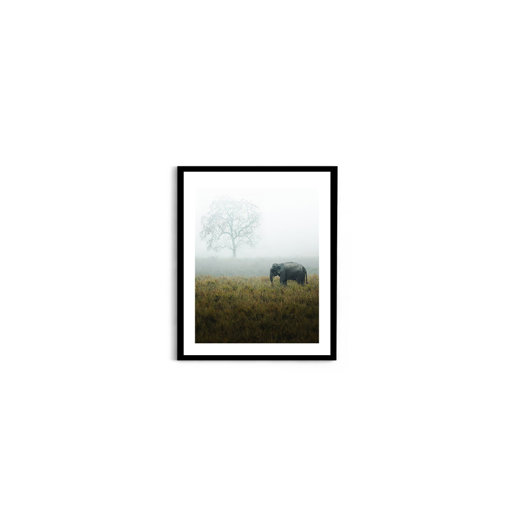 "The Misty Meadow"� Wild Elephant, Assam - Wall Photo Frame by Jeet Khagram