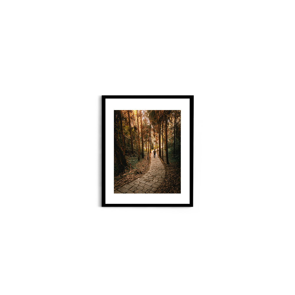 The Forest Path Nature Photography - Wall Photo Frame by Jeet Khagram
