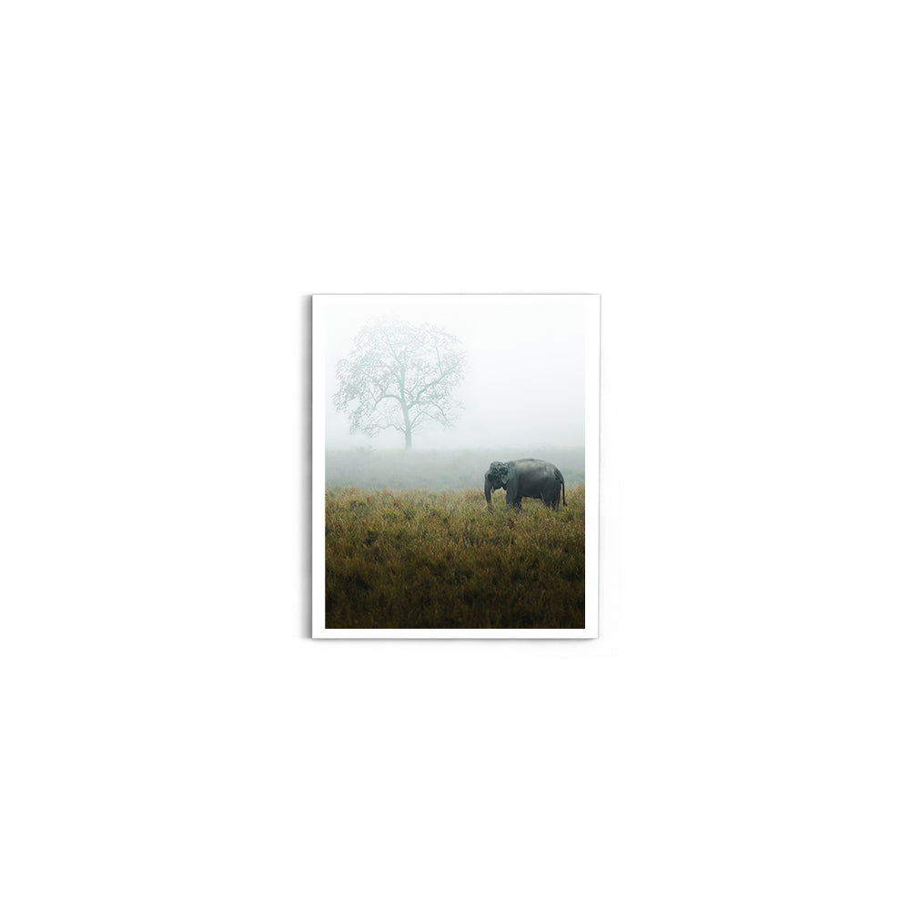 "The Misty Meadow"� Wild Elephant, Assam - Wall Photo Frame by Jeet Khagram