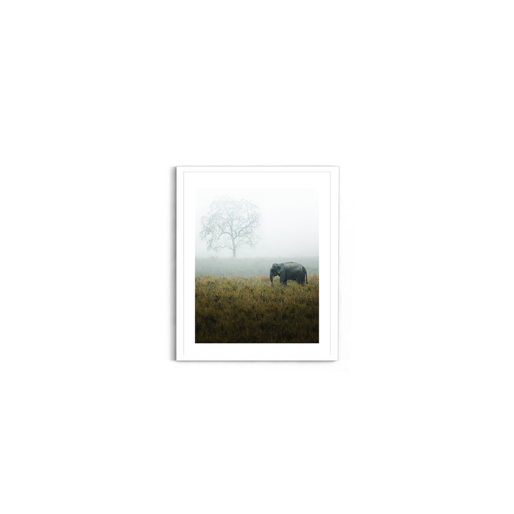 "The Misty Meadow"� Wild Elephant, Assam - Wall Photo Frame by Jeet Khagram