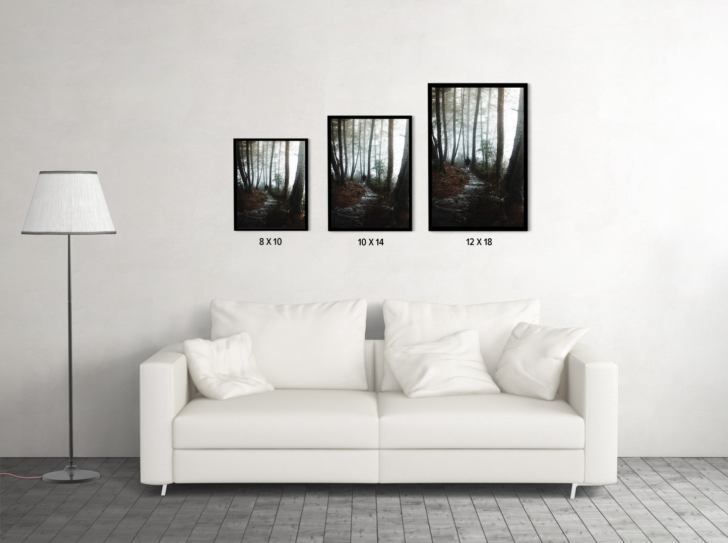 Foggy path through the woods- Arunachal Pradesh